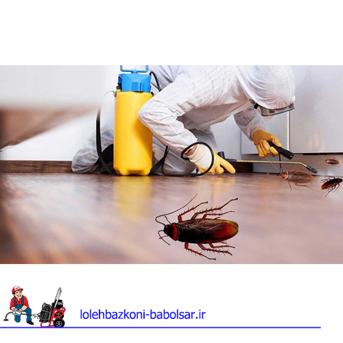 از بین بردن مگس فاضلاب موجود در توالت